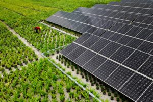 Consejos para Energía Solar